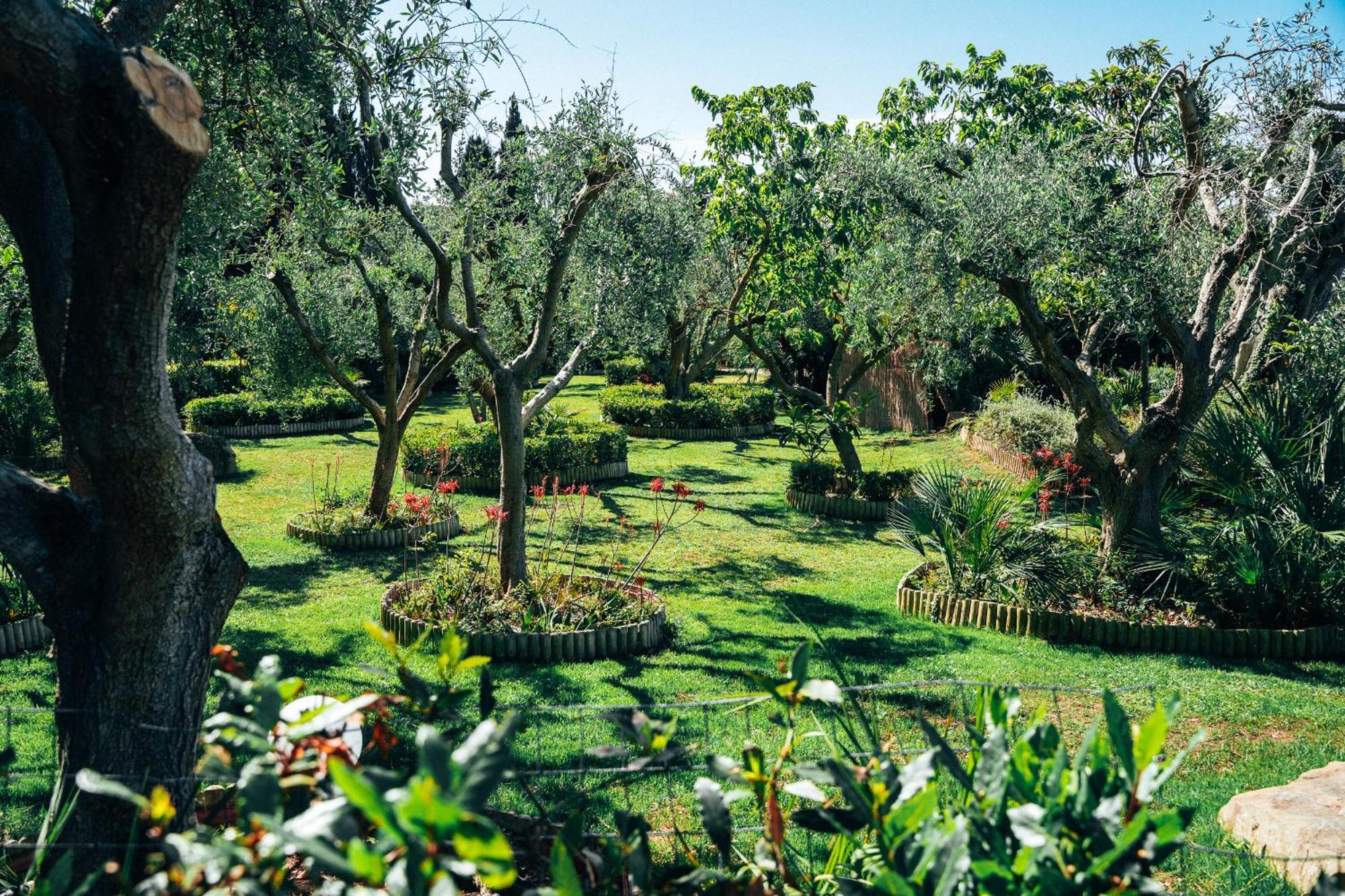 Residence Solemaremma Castiglione della Pescaia Ngoại thất bức ảnh