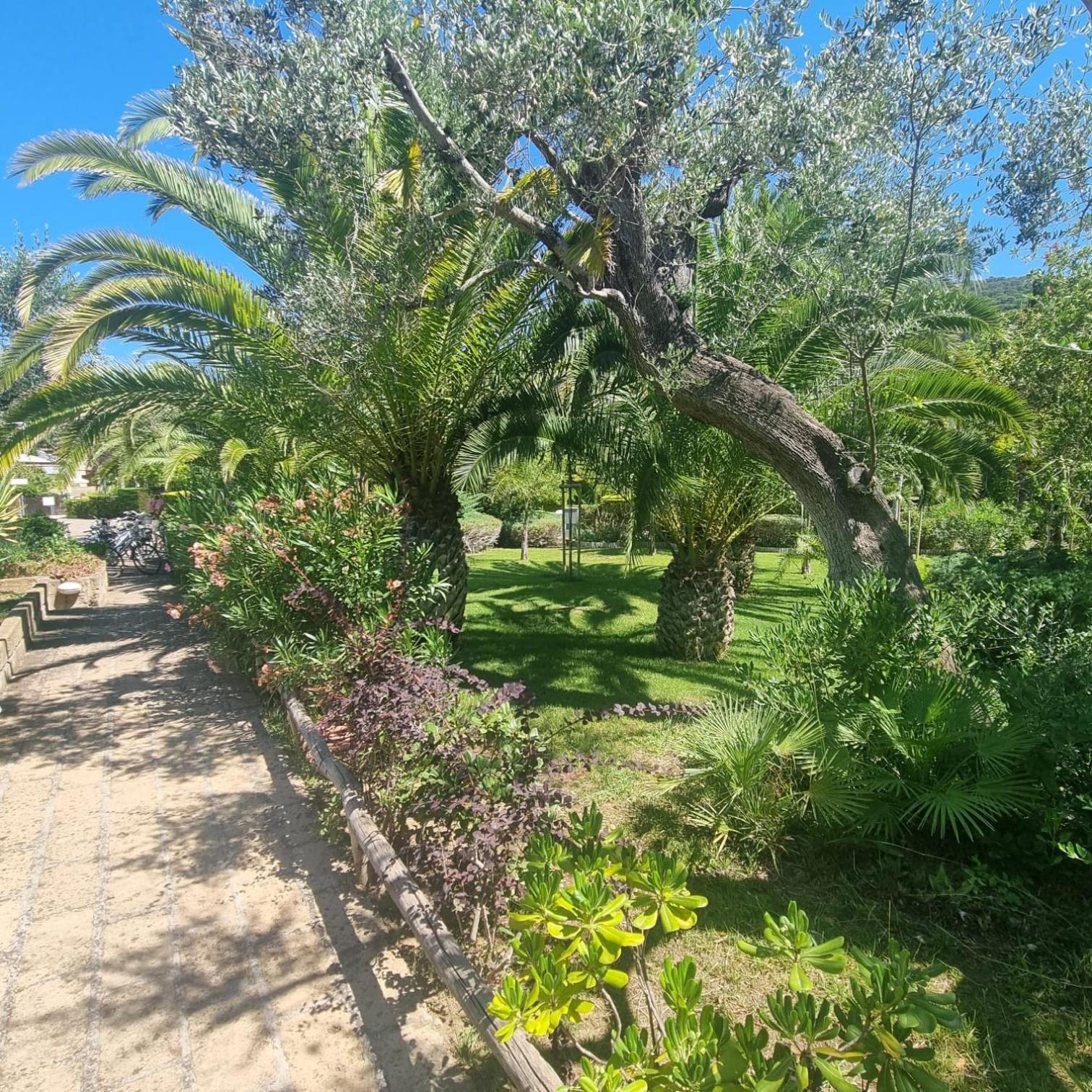 Residence Solemaremma Castiglione della Pescaia Ngoại thất bức ảnh