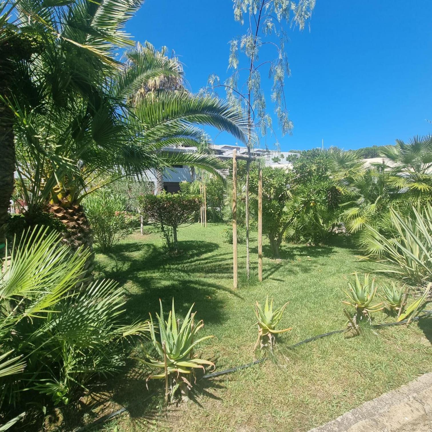 Residence Solemaremma Castiglione della Pescaia Ngoại thất bức ảnh
